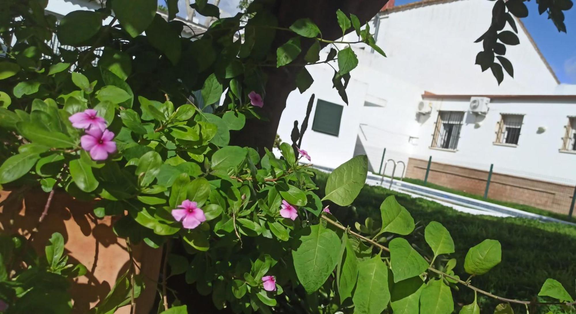 Casa Turquesa Villa Valencina de la Concepción Eksteriør bilde