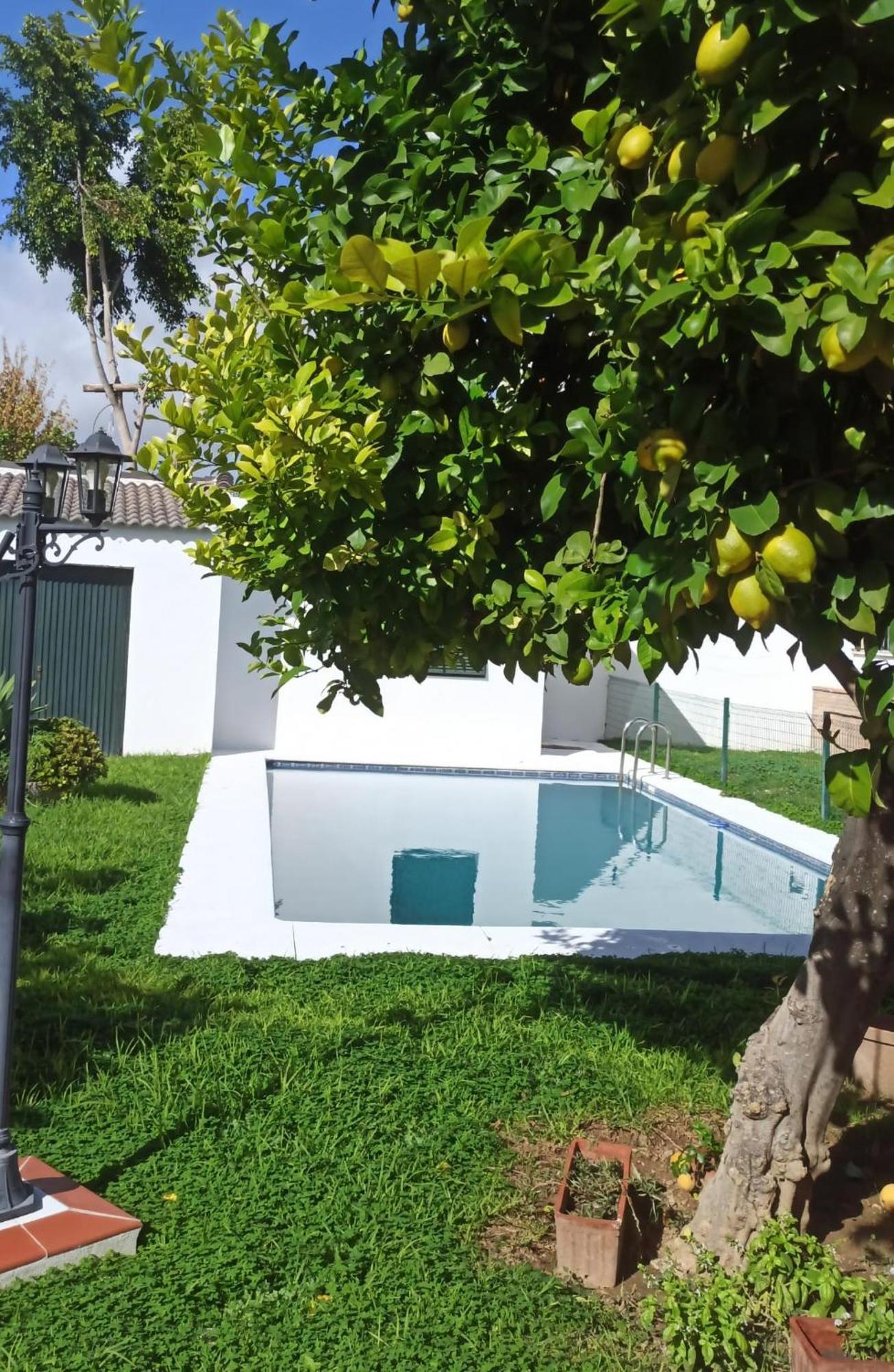 Casa Turquesa Villa Valencina de la Concepción Eksteriør bilde